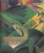 Franz Marc Details of The Monkey (mk34) oil on canvas